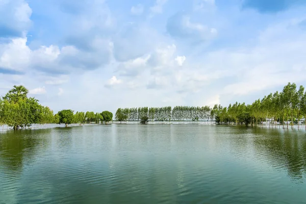 Scenic View Traditional Flooded Fields Still Lake Floating Season Rural — Stock Photo, Image