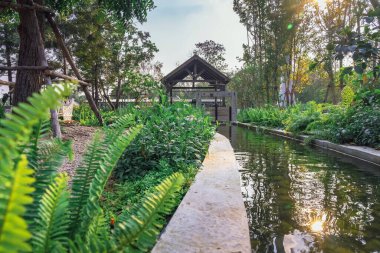 KANCHANABURI, THAILAND - 19 Şubat 2021: PTT benzin istasyonundaki Kafe Amazon kahve dükkanının güzel bahçe dekorasyonu. Cafe Amazon, PTT Kamu Şirketi Limited 'in sahibi olduğu Tayland kahveleri zinciri..