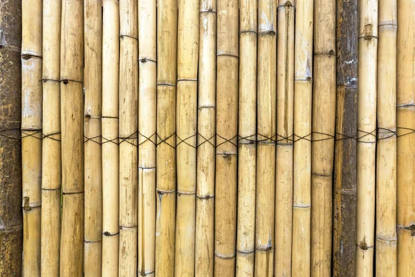 Parede Simples Bambu Tom Marrom Antigo Fundo Textura Cerca Bambu — Fotografia de Stock