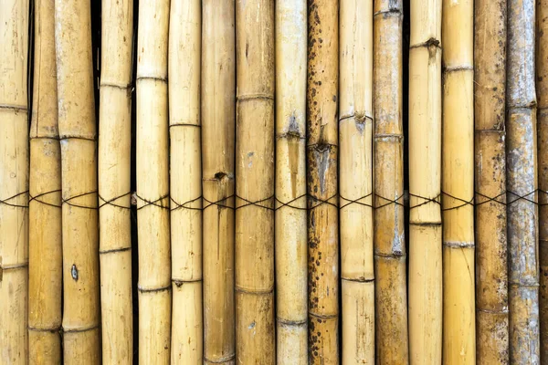 Oude Bruine Toon Bamboe Eenvoudige Muur Bamboe Hek Textuur Achtergrond — Stockfoto