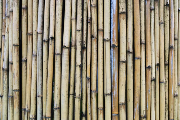 Старый Коричневый Тон Бамбука Простая Стена Бамбук Забор Текстуры Фона — стоковое фото