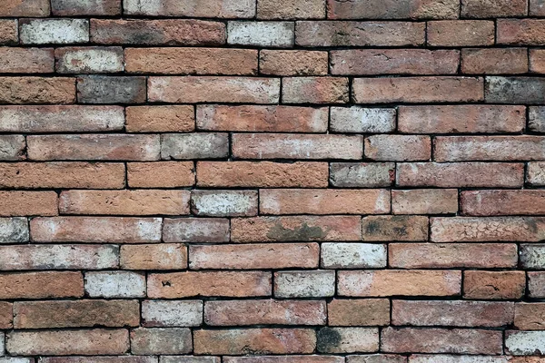 Mur Brique Marron Texture Fond Motif Mur Briques Brunes Texture — Photo
