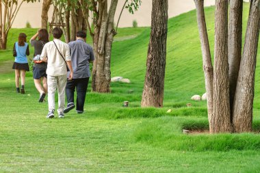 Bir grup mutlu Asyalı arkadaş uzun yeşil ağaçlarla parkın yolunda konuşuyor ve yürüyorlar. Asyalı dostların arkadaşlığı ve eğlencesi boş zamanlarını birlikte dışarıda geçirirler..