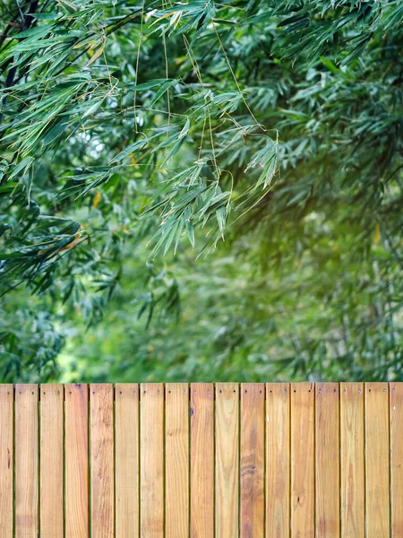 Beautiful Brown Wooden Door Decoration Blurred Bamboo Garden Background Simple — Photo