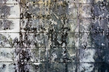 Dirty old eroded cracked plaster cement block fence. Concrete block wall. Destroyed crumbling cement mortar texture. Background of wall. Brick texture with scratches and cracks. brick wall background