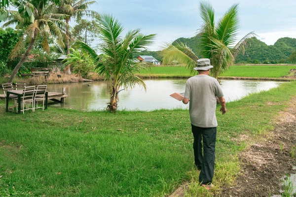 Granjero Masculino Asiático Sosteniendo Tableta Caminar Investigación Arroz Campo Agrícola — Foto de Stock