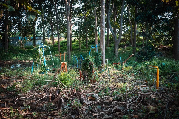 Dışarıdaki egzersiz parkındaki ağaçlarla kaplanmış eski spor aletleri. Spor sahasında eski terk edilmiş spor aletleri ve fazla büyümüş çimenler. Korunmayan terk edilmiş oyun alanı.
