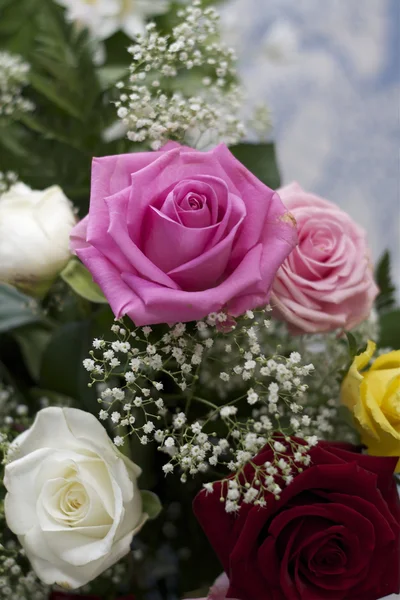 Rosado con rosas —  Fotos de Stock