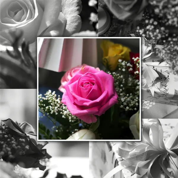 Collage rosa — Foto Stock