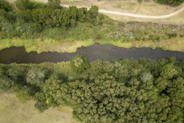 Ağaçlarla kaplı bir dere ve taşrada toprak bir yol, insansız hava aracı manzarası.