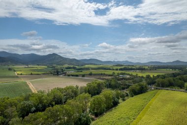 Dağlık bir zemin ile bulutlu mavi bir gökyüzünün altında, köprünün geçtiği şeker kamışı tarlalarının oluşturduğu yamalı bir desen arasında, bir ağaç kırsal derenin insansız hava aracı tarafından oluşturulan hava manzarası.