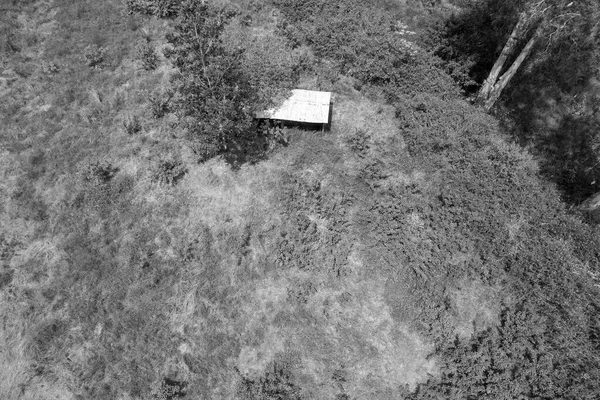 Çalının içindeki harap olmuş bir barakanın çatısının monoton görüntüsü.