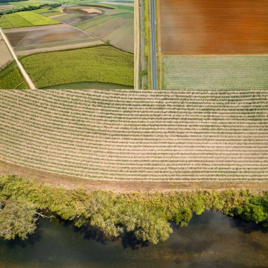Şeker kamışı otlaklarının toplanması bir derenin kenarında havadan manzara şekilleri oluşturuyor.