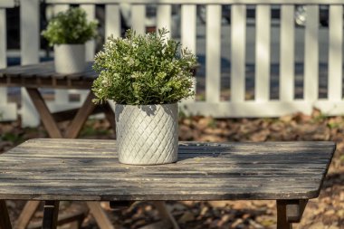 Açık hava kahve dükkanındaki eski bir masada suni bir çiçek.