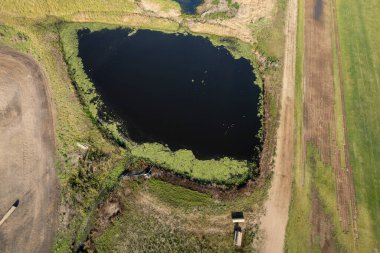 Evler için çim yetiştiren bir çiftliğin yanındaki vahşi yaşam rezervlerine bakıyorum.