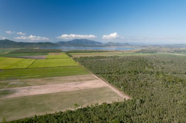 Şekerkamışı tarlalarının ve çalılıkların bir baraja ve arka planda bulutlu mavi bir gökyüzünün altındaki dağlara uzanan bir parçası.