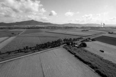 Şeker kamışı tarlalarından geçen bir otoyolun siyah ve beyaz görüntüsü ve rafineriye doğru bir tarım arazisi.