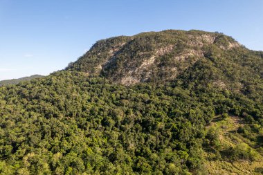 Ağaçlarla kaplı bir lav çekirdeğine yakın uçuyor.