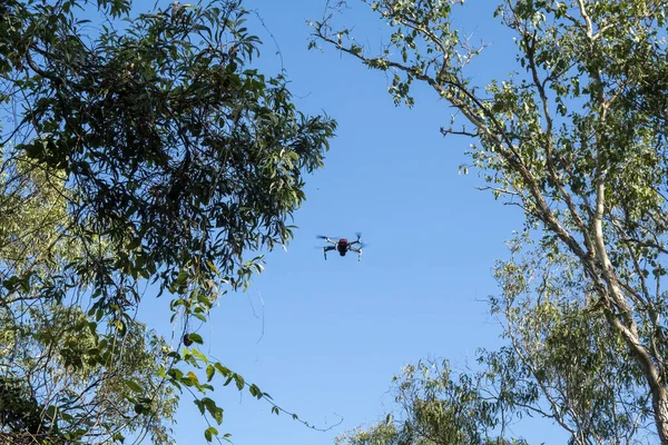 Drone Volo Tra Gli Alberi Contro Cielo Limpido Blu — Foto Stock