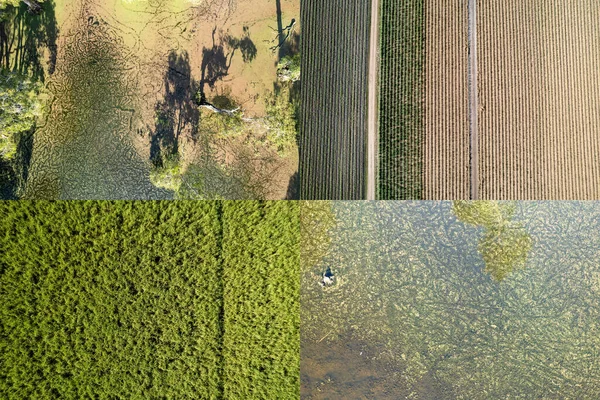 Cztery Krajobrazy Wzory Lotnicze Patrząc Dół Drona Bezpośrednio Nad — Zdjęcie stockowe