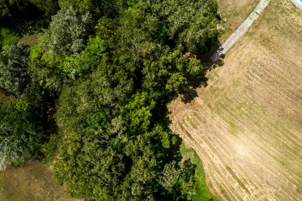 Drone Antenn Landskap Klippt Gräs Och Buskland Bäck Bank — Stockfoto