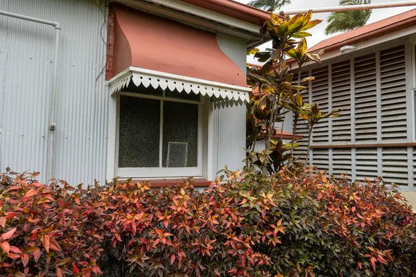 Ventana Sombra Sobre Una Casa Pionera Construida 1915 Frente Seto — Foto de Stock