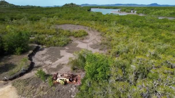 Drone Aerial Rusting Dumped Car Wreck Tidal Creek Environment — Stock Video