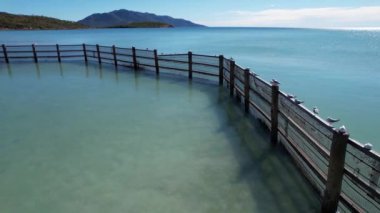 Hava manzarası için üstümüzde uçan bir dron gibi yüzme kabinine tünemiş martılar, Dingo Sahili Queensland Avustralya