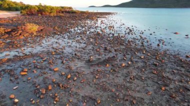 Cape Gloucester Queensland Avustralya 'daki Mercan Denizi' nde dalgaların çekildiği kayalık bir sahilde güneşin doğuşu.