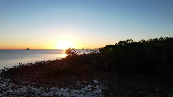 太陽が暗いマングローブの海岸の背後の地平線上に昇るとケープグロスタークイーンズランドオーストラリアのコーラル海の岩のビーチに沿って喘ぐ — ストック動画