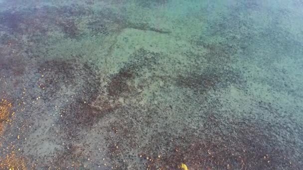 显示澳大利亚格洛斯特角珊瑚海海床的低潮水空中景观 — 图库视频影像