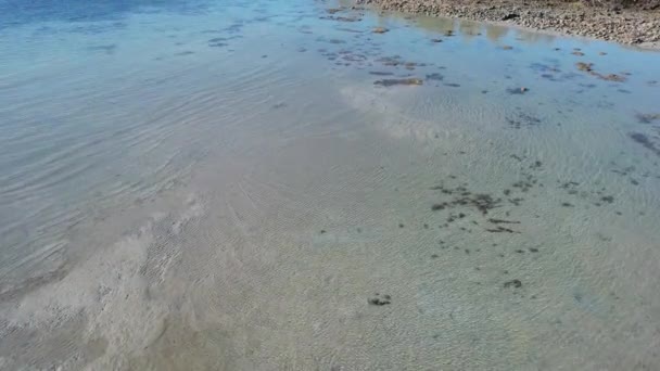 Çamurlu Deniz Yatağında Dalgaların Altında Kayalık Bir Kıyı Şeridine Doğru — Stok video