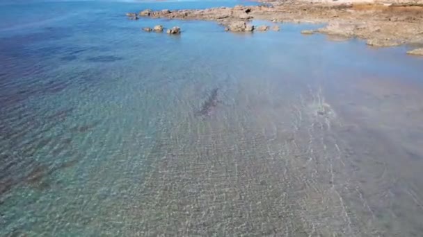 Drone Atas Karang Dasar Laut Pada Pasang Rendah Menuju Pantai — Stok Video