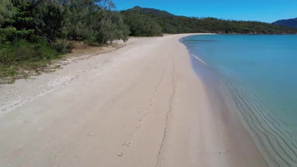 無人航空機のようにビーチに沿って砂の足跡は 澄んだ青い海と長い海岸線を示しています — ストック動画