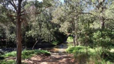İnsansız hava aracı toprak bir yoldan tropikal çalılıklarda bir dereye doğru uçuyor.