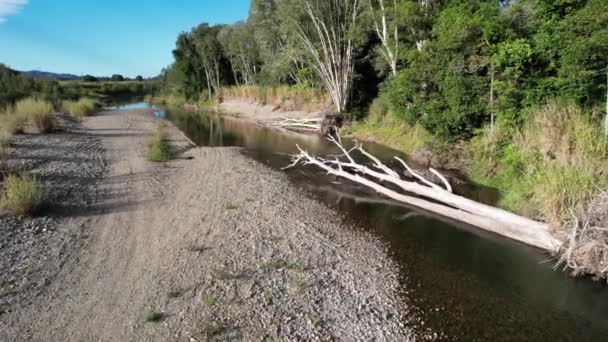 Vue Aérienne Long Lit Ruisseau Rural Peu Profond Partir Arbre — Video