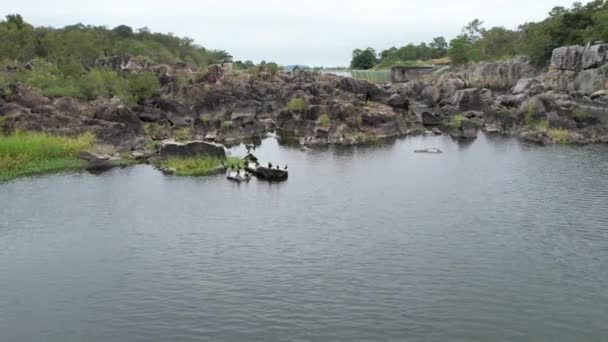 堰の壁から下流の岩の上の鵜やネイティブ鳥の生活 — ストック動画