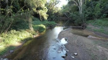 Sabahın erken saatlerinde güneşli ışıklarla dolu güzel bir derenin yukarısında. Sandy Creek, Mackay, Queensland, Avustralya.