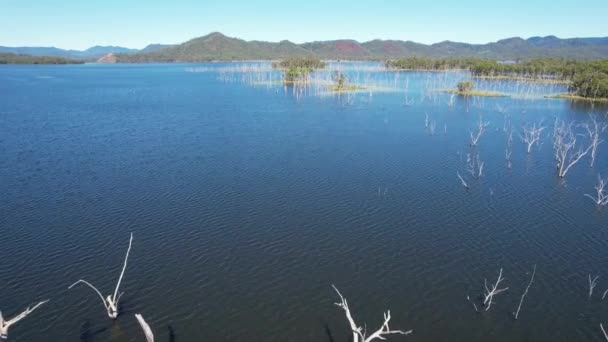 Кадри Дронами Про Потоплені Дерева Греблі Teemburra Квінсленд Австралія — стокове відео