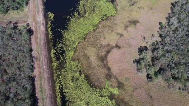 Drohnenflug Über Abstrakte Landschaftsmuster Auf See Und Land Unterstrichen Durch — Stockvideo
