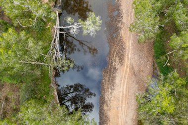 Bir kıyısında ağaçlar, diğer kıyısında lastik izleri ve su yansımaları olan kumun olduğu bir derenin yukarıdan görünüşü - insansız hava aracı manzarası