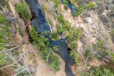 Düşen ağaçların ve su yansımalarının olduğu bir derenin yukarıdan görünüşü - insansız hava aracı hava manzarası deseni