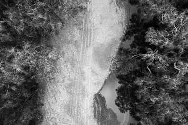 İnsansız hava aracı, derin su ve yansımalarla dolu ağaçlık bir derenin kıyısındaki kumların üzerindeki araç izlerine tepeden bakar.