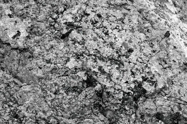 Black White Closeup Version Mountain Rock Showing All Striations Textures — Stock Photo, Image