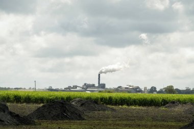 Fırtınalı bir gökyüzünün altında bacasından duman çıkaran bir şeker kamışı değirmeni.