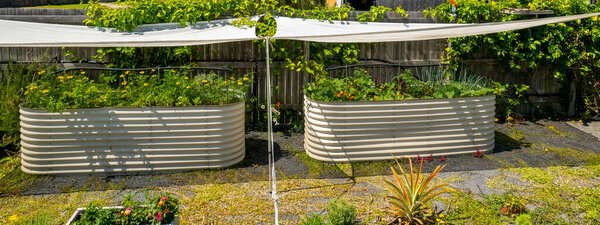 Задний двор поднял растительные садовые кровати под прикрытием от жаркого австралийского лета