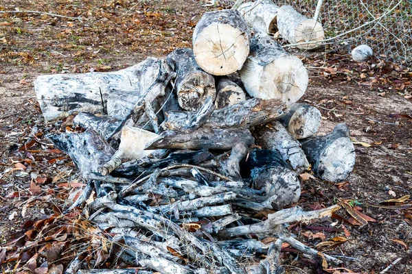 Hromada Spálených Klacíků Klád Které Zbyly Táborového Ohně Hnědé Zemi — Stock fotografie