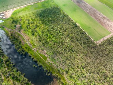 Bir göl ve yaban hayatı koruma alanının üstünden tepeden aşağı manzaralı, yanında çim çiftliği olan