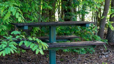 Eski yaprak piknik seti yakın çevresi yerel bitki örtüsüyle çevrili bir açık hava ortamında