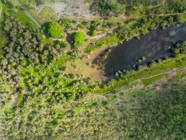 Yaban hayatı rezervinin kıyısındaki yerel bitki örtüsüne tepeden bakıldığında